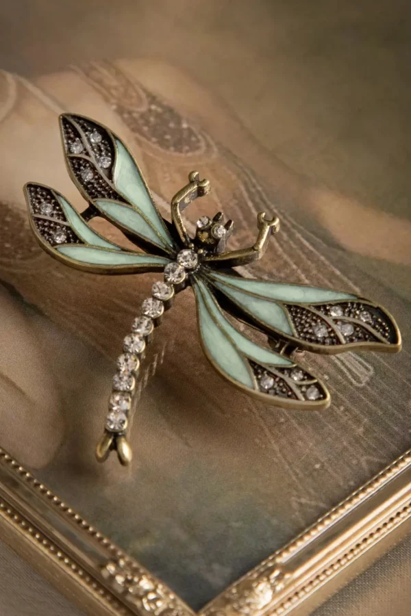 Hoe U Uw Dragonfly-Broche Kunt Trainen-Lovely Online