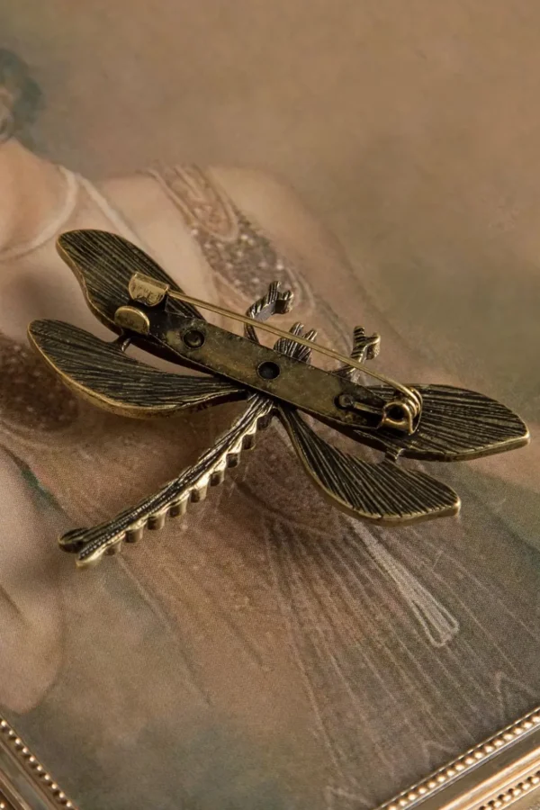 Hoe U Uw Dragonfly-Broche Kunt Trainen-Lovely Online